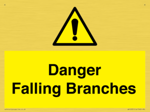 Danger Falling Branches